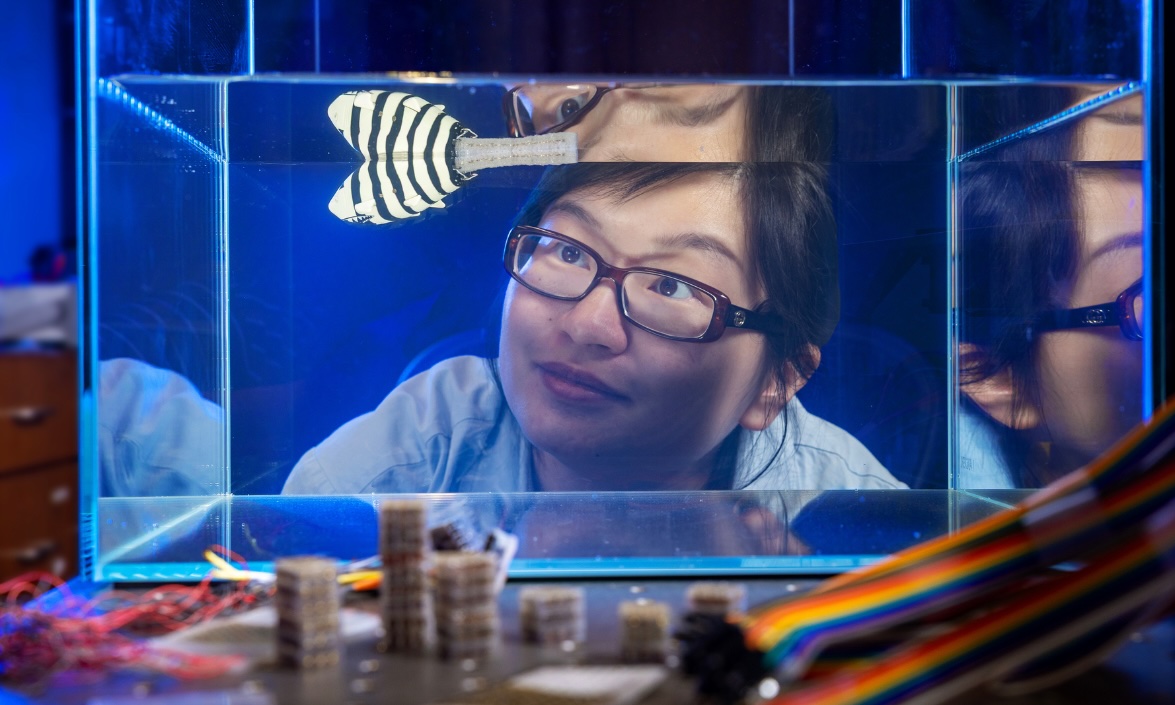 Person looking at a toy fish in a tank
